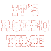 Rodeo Hat Tip Sticker by Hemline