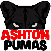 Football Sticker by Ashton Pumas Womens