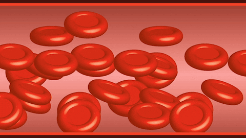 Blood Doctor GIF by Physikcoach