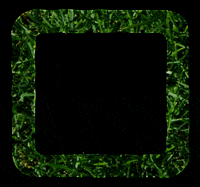 Ohio Downtown GIF by Cleveland Public Square