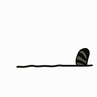 irene_hsyu giphygifmaker giphygifmakermobile cat hi GIF