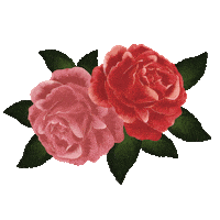 Rose Flower Sticker by Olivia Burton