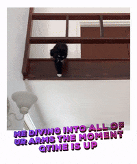 Quarantine GIF by Chris