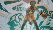 Ndsu Basketball GIF by NDSU Athletics