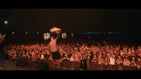 BottomrowKriss giphyupload festival shirtless onstage GIF