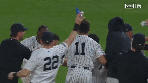 New York Yankees Win GIF by MLB