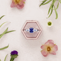 Rings Sterling Silver GIF by Jewelry Television