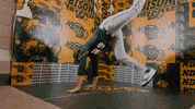 Baseball Bison GIF by NDSU Athletics