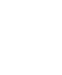 Advent Sticker by Lifeway Women