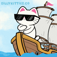 Cat Kitten GIF by Silly Kitties