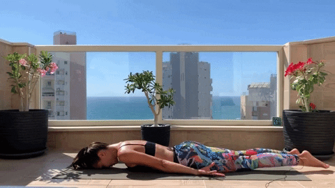 svitlanayevsieieva giphyupload GIF