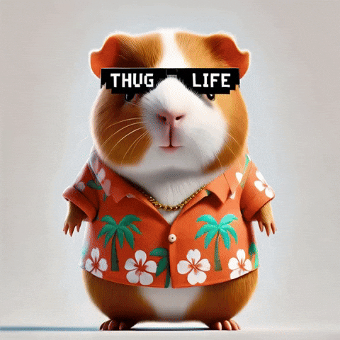 Proud Education GIF by Guinea Gambino