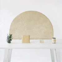GIF by Coolhuntermx