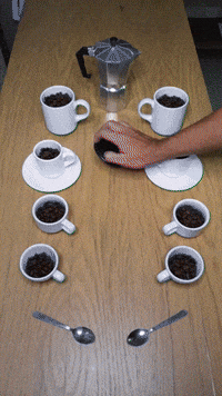 REEL cintascotch 2023