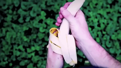hand job banana GIF by Topshelf Records