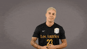 Division Ii Soccer GIF by Cal State LA Golden Eagles