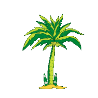 canarias grancanaria Sticker by Cerveza Tropical