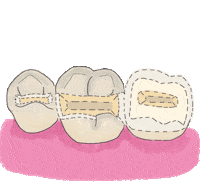 Dentist Odontologia Sticker