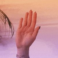 Camera Turn On GIF by 180heartbeats_jvm