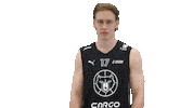 Sport Basketball Sticker by Basket_fi