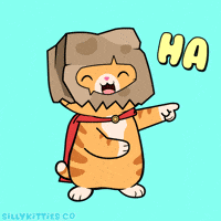Comedy Lol GIF by Silly Kitties