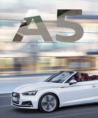 audichile  GIF