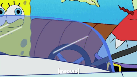 season 9 lost in bikini bottom GIF by SpongeBob SquarePants