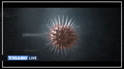 GIF by Le Figaro