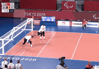 Paralympic Games Sport GIF by International Paralympic Committee