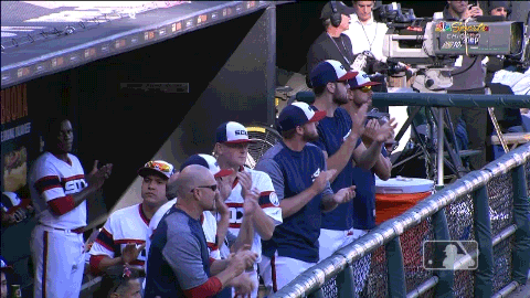 hawk sox GIF by MLB