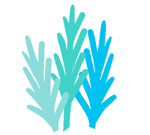 kellyyhill giphyupload summer beach ocean Sticker