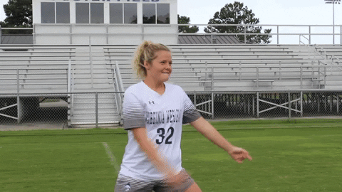 Wethebeach Virginiawesleyan GIF by VWU Marlins