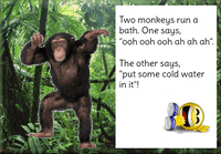 Monkey GIF