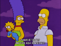 homer simpson episode 22 GIF
