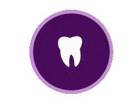 Shop Small Sweet Tooth Sticker by Timothy Jay Sweets