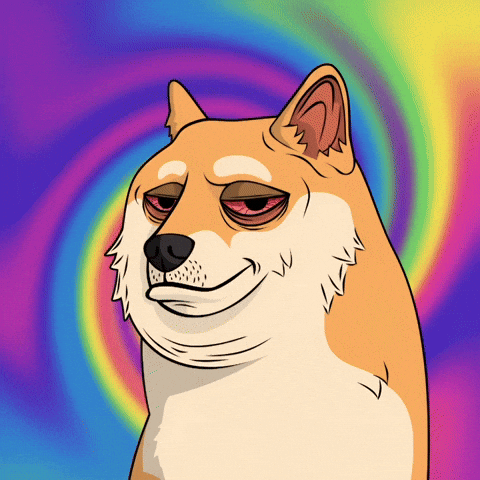 Shiba Inu Smiling GIF by Doge Pound
