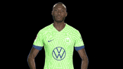 Komm Schon Hurry Up GIF by VfL Wolfsburg