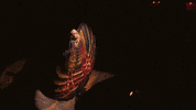 Jordan_Roth musical broadway theater musicals GIF