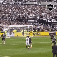 Libertadores Bfr GIF