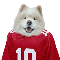 Ryder Samoyed Sticker