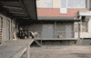 delivery satisfying GIF