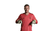 Swipe Up Germany Sticker by DFB-Teams