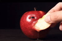 Apple Fruit GIF