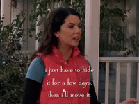 season 5 netflix GIF by Gilmore Girls 