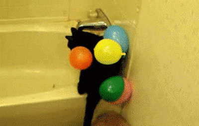 cat jumping GIF by Cheezburger