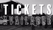 GIF by Greater Rockford Auto Auction