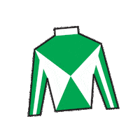 Horse Racing Sticker by Kentucky Derby