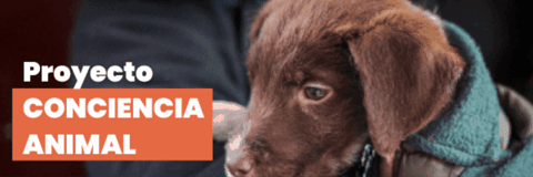 NotiJuy giphygifmaker GIF