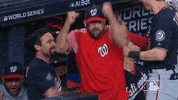 Excited Major League Baseball GIF by MLB