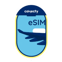 Sim Sticker by conecty
